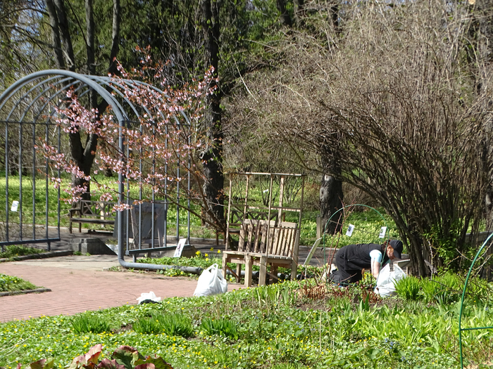 DSC00063 (700x525, 634Kb)