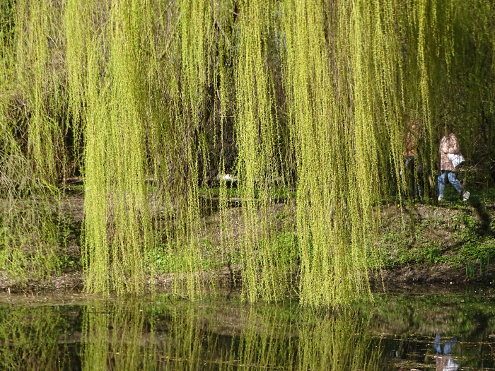 DSC00170 (700x525, 636Kb)