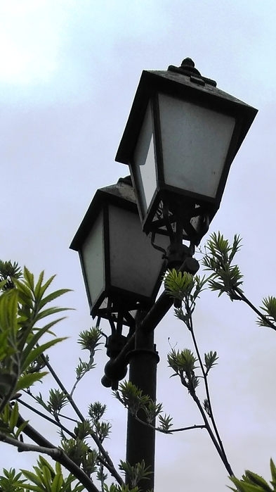 IMG_0010 (393x700, 181Kb)