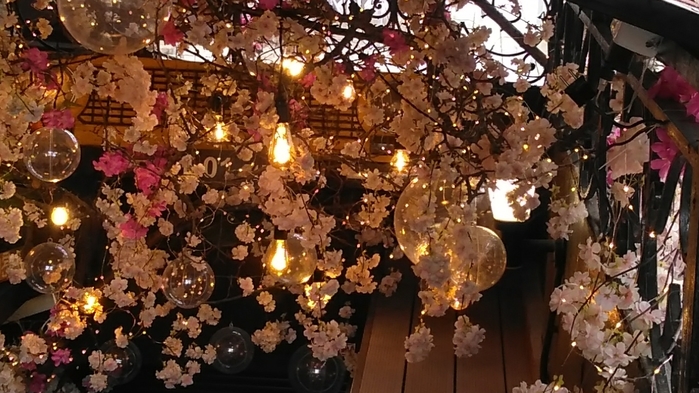 IMG_0014 (700x393, 260Kb)