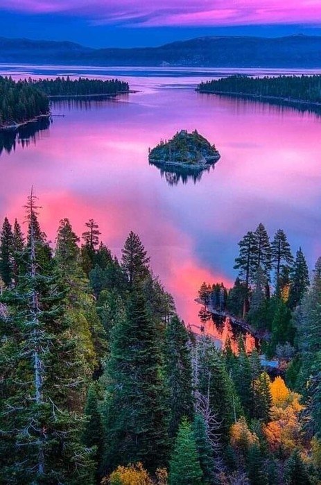 IMG_20220507_173711 (463x700, 102Kb)