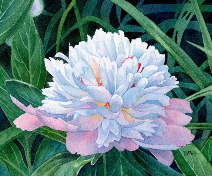 ecd6ed0203f0e03a8f2f36e937683590--floral-watercolor-watercolor-artist (700x580, 507Kb)