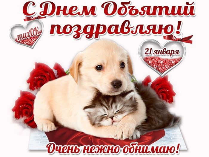 31be6ea5c1225422cc5e6c60b61764ee (700x525, 72Kb)