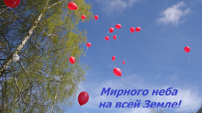 DSC04163 - копия (700x393, 331Kb)