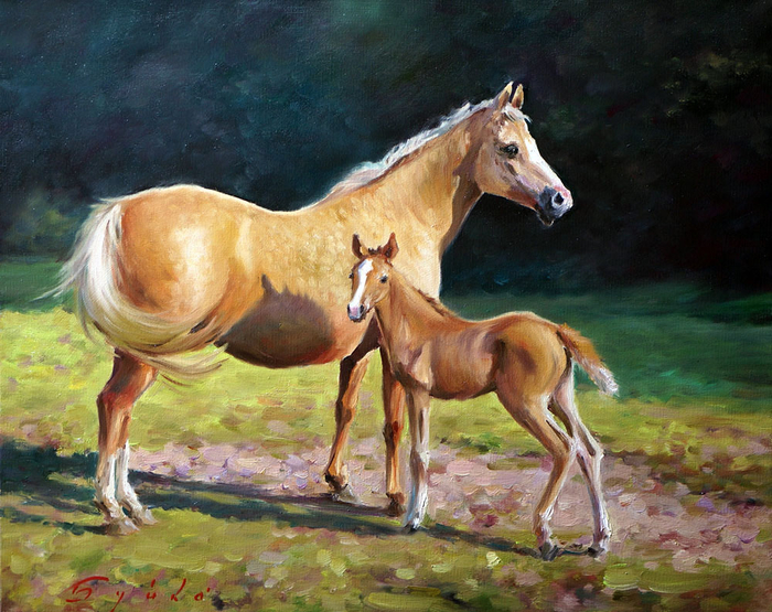 Лошадь с жеребенком (700x555, 480Kb)