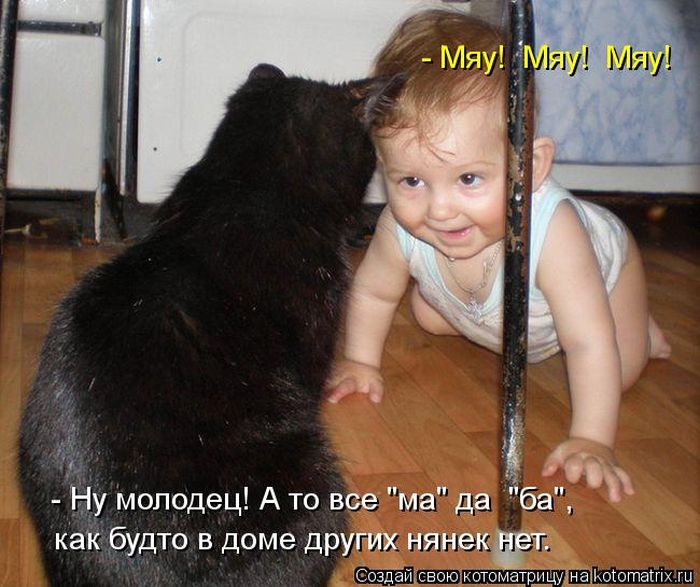 Мы ходить больше не будем. Смешные картинки с подписями. Дети и животные приколы с надписями. Прикольные подписи к фотографиям детей. Смешные подписи к фото детей.