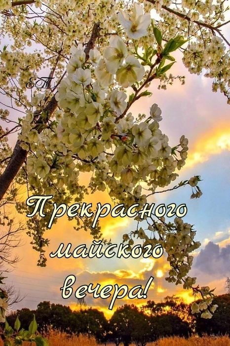 IMG_20220512_172138 (466x700, 108Kb)