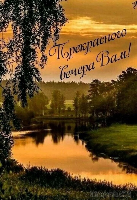IMG_20220513_172423 (477x700, 105Kb)