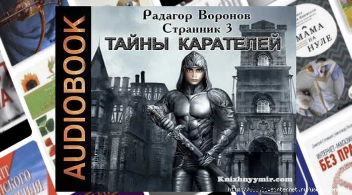 Каратель аудиокнига слушать. Странник 3.3. Серый ворон аудиокнига.