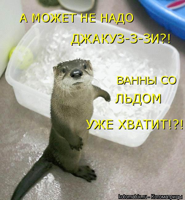 4743317_b (600x648, 61Kb)