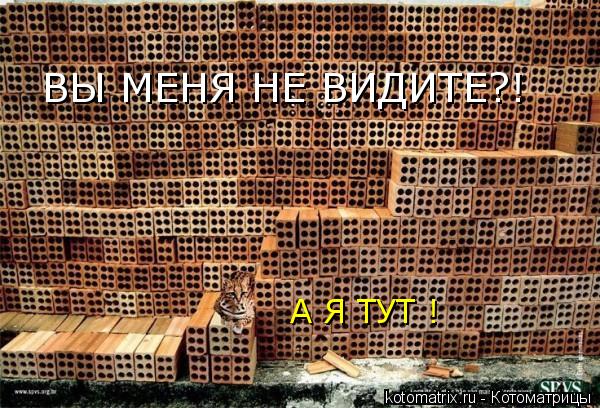 4743317_e (600x408, 91Kb)