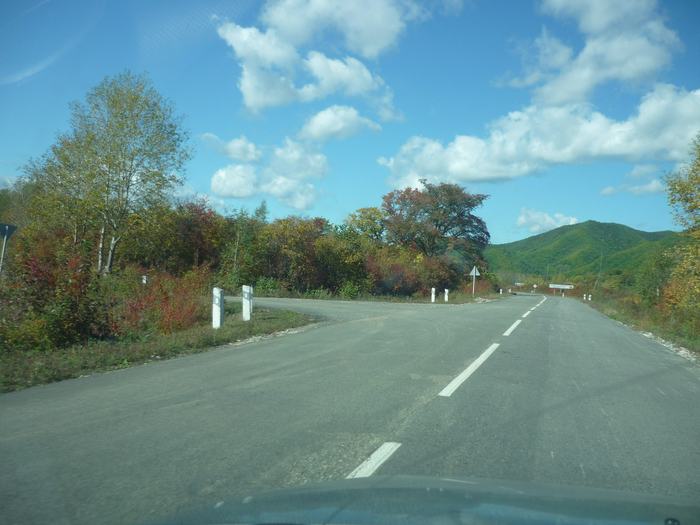 P1300801 (700x525, 439Kb)