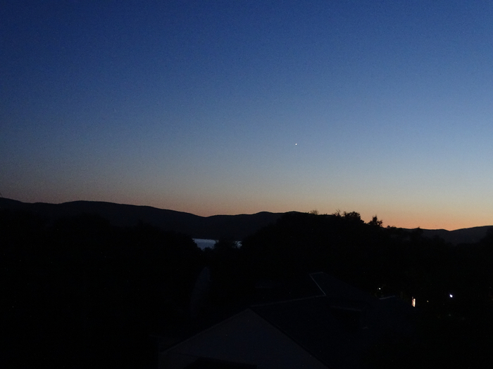 DSC00479 (700x525, 239Kb)