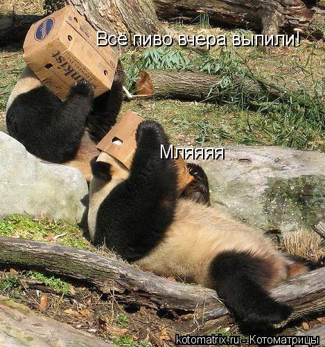 4743317_zi (469x500, 82Kb)