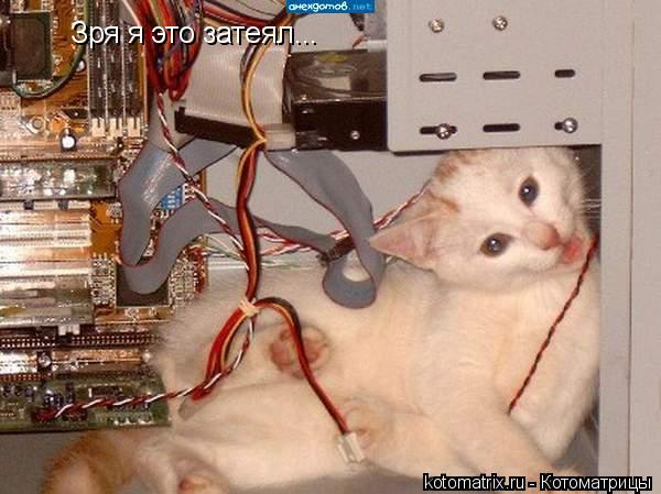 4743317_Wb (600x449, 46Kb)