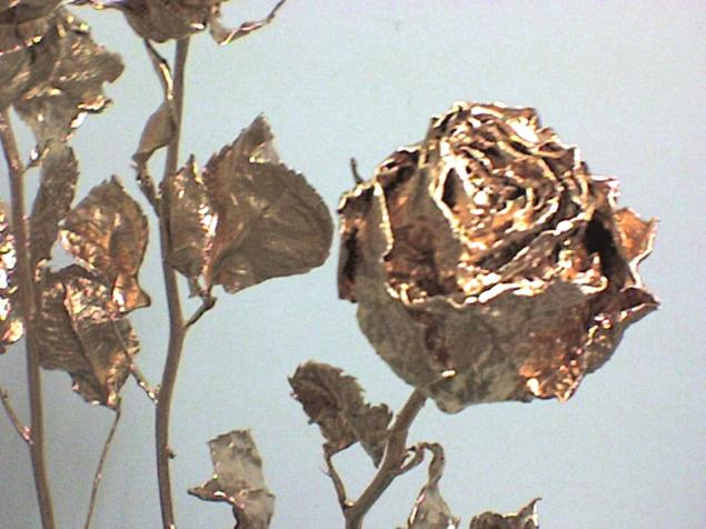 Золотой букет из засохших роз (8) (635x476, 218Kb)