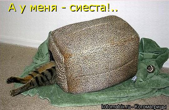 4743317_X (540x352, 50Kb)