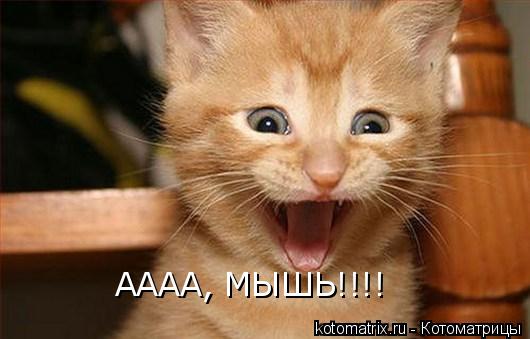 4743317_b (530x339, 27Kb)