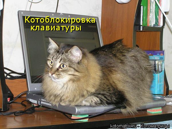 4743317_BL (600x450, 54Kb)