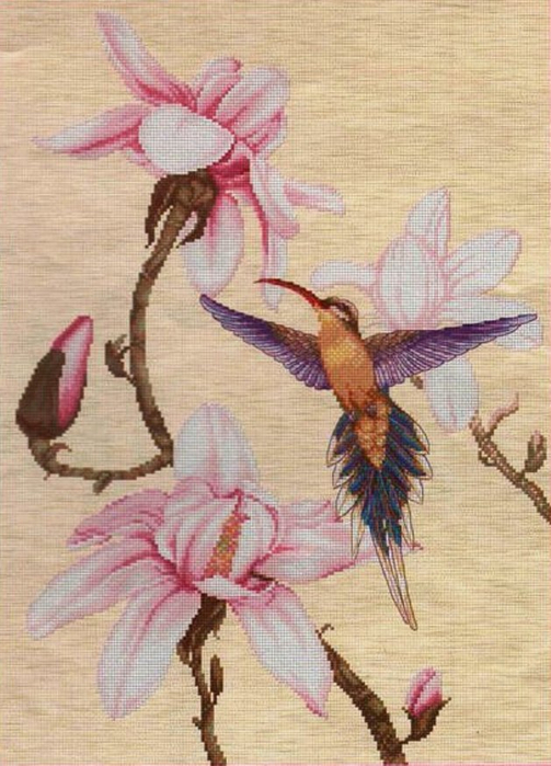 Pinn 24-S The Humming Bird (503x700, 359Kb)