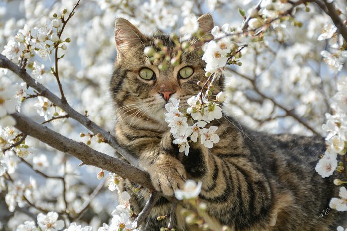 161krasivo-foto-3 (700x466, 87Kb)