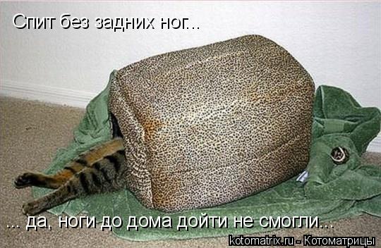 4743317_ea (540x352, 51Kb)