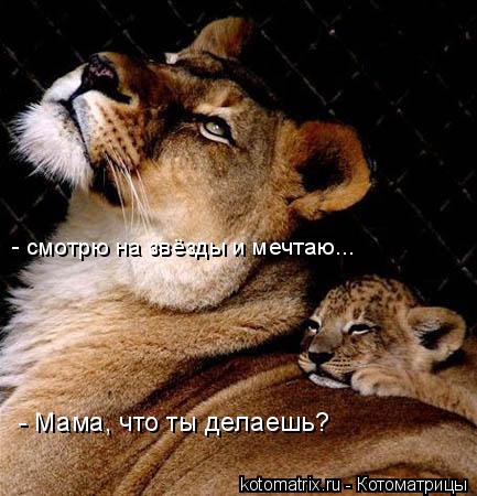 4743317_YT (433x450, 41Kb)