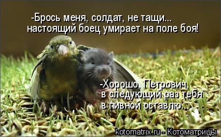 4743317_yW (450x280, 35Kb)