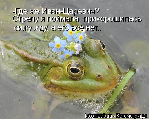 4743317_vB (500x399, 38Kb)