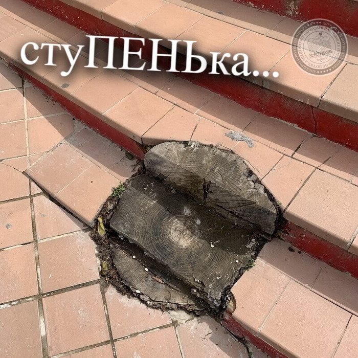 Stupenka-22.05.2022+ (700x700, 157Kb)