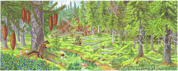  (700x281, 361Kb)