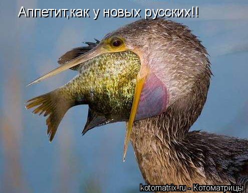 4743317_dz (495x387, 37Kb)