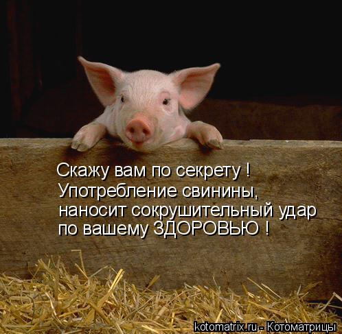 4743317_D (498x487, 46Kb)