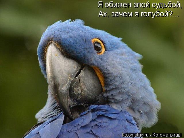 4743317_T5 (640x480, 50Kb)