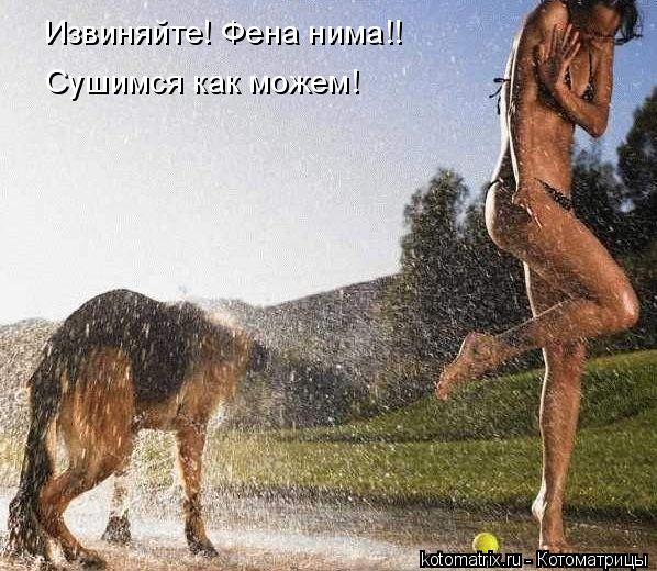 4743317_mV (598x520, 75Kb)
