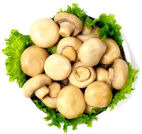 pickled-mushrooms-on-a-white-table-marinated-mushrooms-horizontal-copy-spase_322022-442 (200x188, 65Kb)