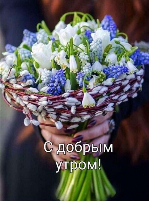 4743317_image20210527_09_13_51 (518x700, 235Kb)