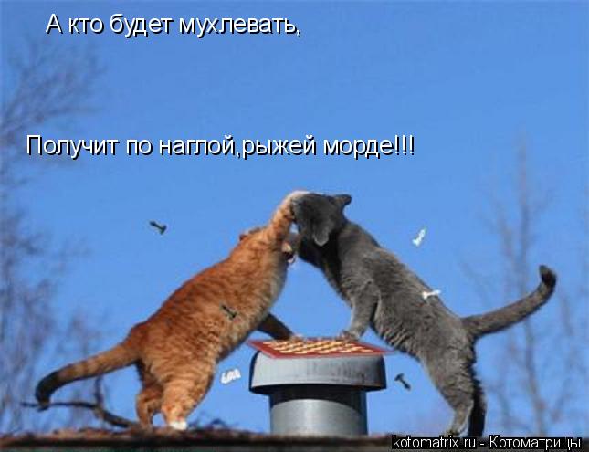 4743317_QL (645x495, 36Kb)