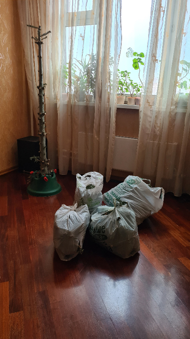 20220122_123240 (393x700, 318Kb)