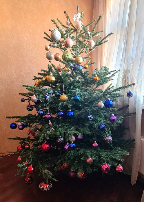 20211228_133623 (497x700, 442Kb)