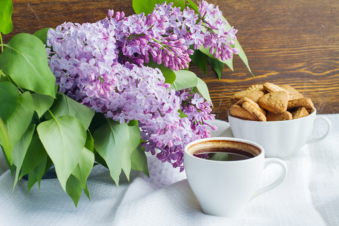 Still-life_Lilac_Coffee_Cookies_Cup_524746_1280x853 (700x466, 184Kb)