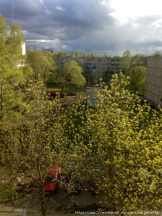 IMG_3783 (525x700, 423Kb)