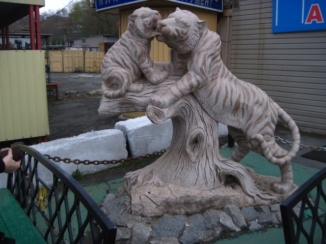3109898_vlad_tigri (640x480, 91Kb)