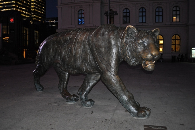 3109898_tig_oslo (680x452, 221Kb)