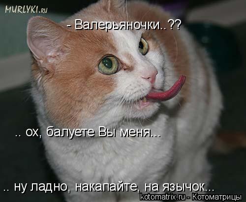 4743317_HI (500x411, 30Kb)