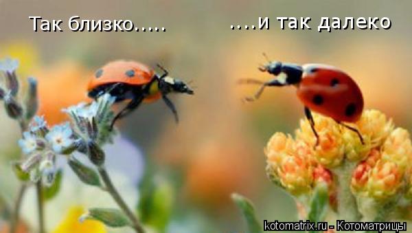 4743317_At_1 (600x339, 27Kb)