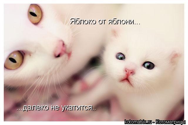 4743317_d (640x427, 27Kb)
