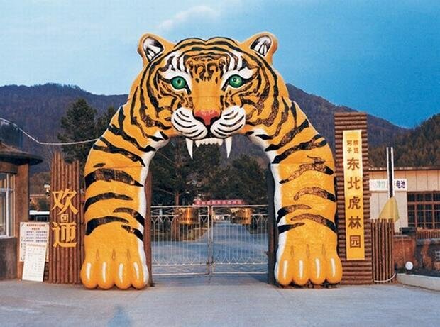 3109898_park_harbin (620x461, 65Kb)