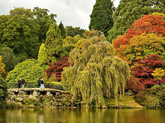 HD-wallpaper-sheffield-park-uk-rocks-autumn-park-trees-pond-bridge-garden-nature-uk (900x725, 96Kb)