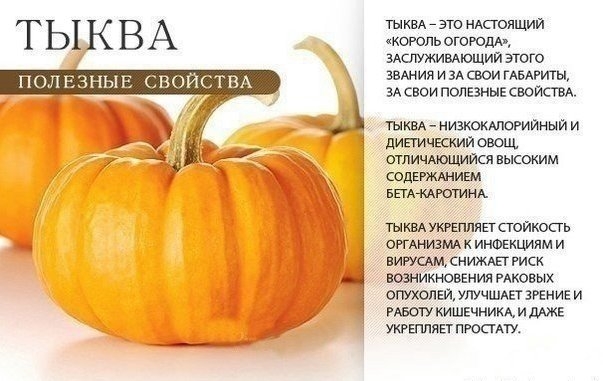 5774028_polza1 (603x381, 139Kb)
